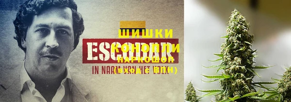 a pvp Михайловск